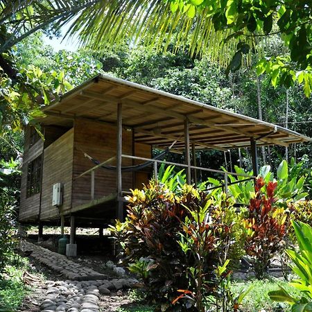 Huella Verde Rainforest Lodge Canelos Exteriör bild